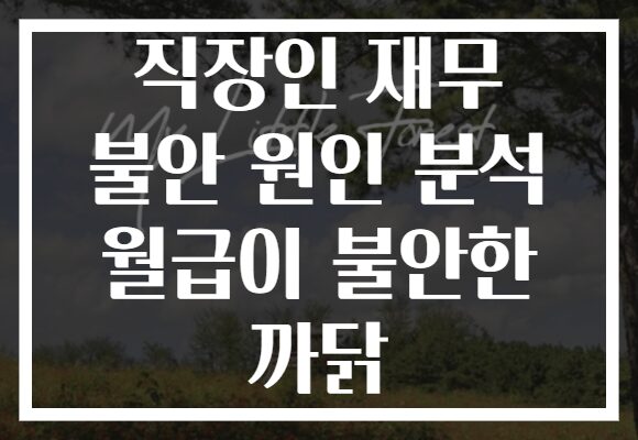 직장인 재무 불안 원인 분석 월급이 불안한 까닭