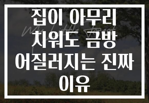 집이 아무리 치워도 금방 어질러지는 진짜 이유