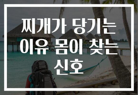 찌개가 당기는 이유 몸이 찾는 신호