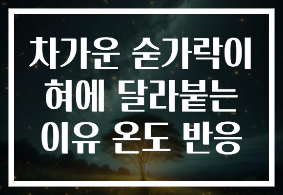 차가운 숟가락이 혀에 달라붙는 이유 온도 반응