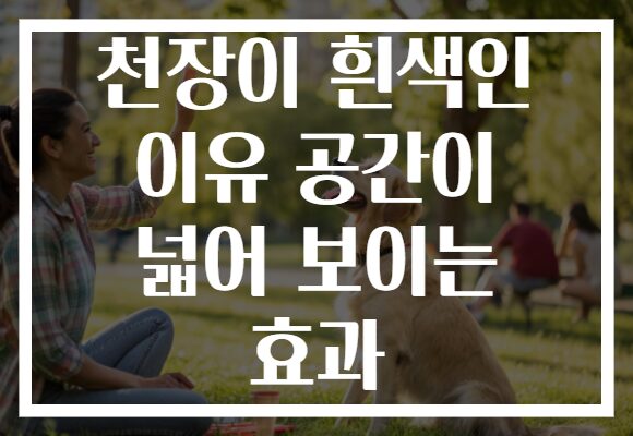 천장이 흰색인 이유 공간이 넓어 보이는 효과