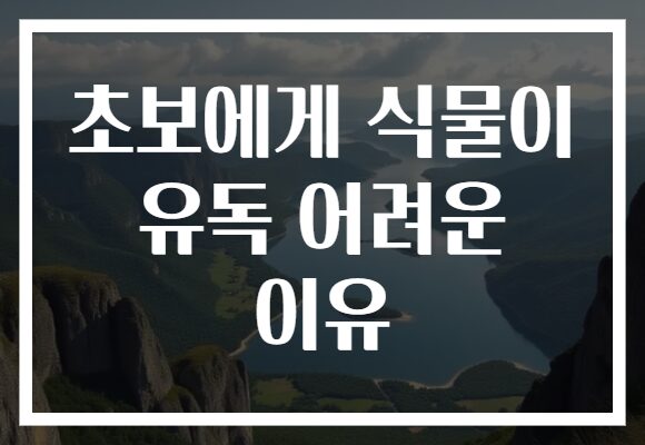 초보에게 식물이 유독 어려운 이유