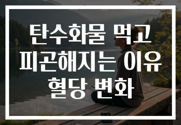 탄수화물 먹고 피곤해지는 이유 혈당 변화