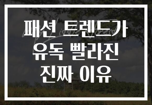 패션 트렌드가 유독 빨라진 진짜 이유