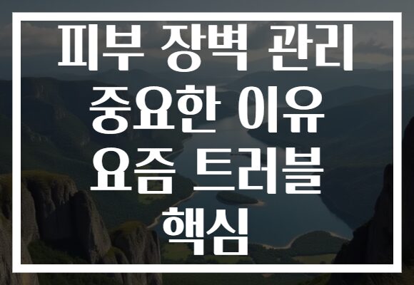 피부 장벽 관리 중요한 이유 요즘 트러블 핵심