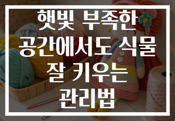 햇빛 부족한 공간에서도 식물 잘 키우는 관리법