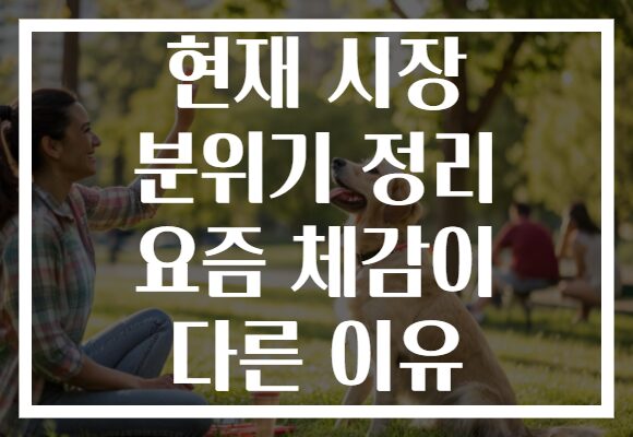 현재 시장 분위기 정리 요즘 체감이 다른 이유