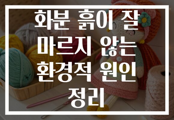 화분 흙이 잘 마르지 않는 환경적 원인 정리