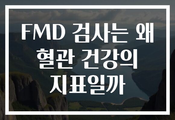FMD 검사는 왜 혈관 건강의 지표일까