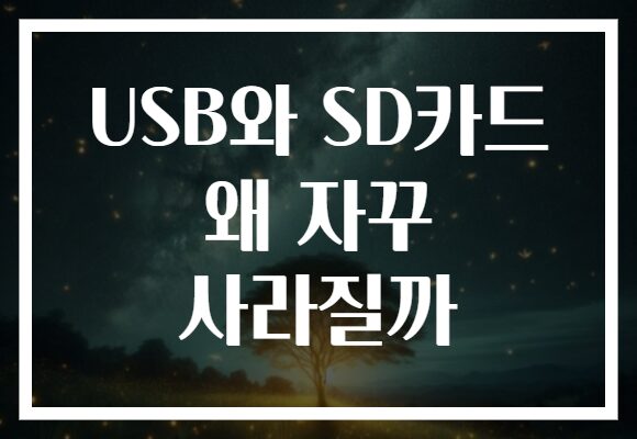 USB와 SD카드 왜 자꾸 사라질까
