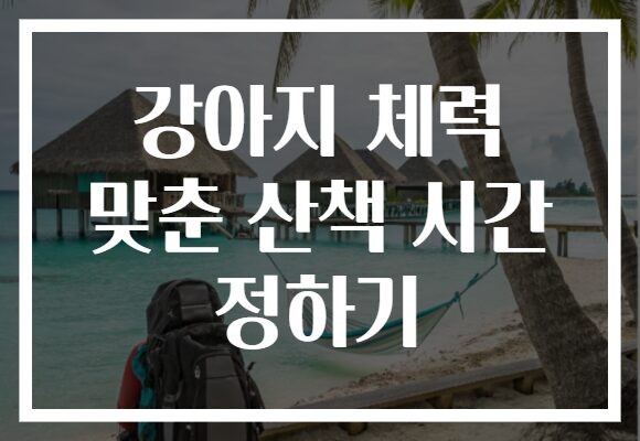 강아지 체력 맞춘 산책 시간 정하기