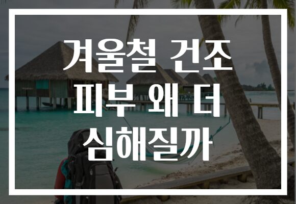 겨울철 건조 피부 왜 더 심해질까