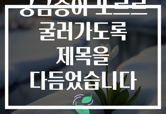 궁금증이 또르르 굴러가도록 제목을 다듬었습니다 🍃