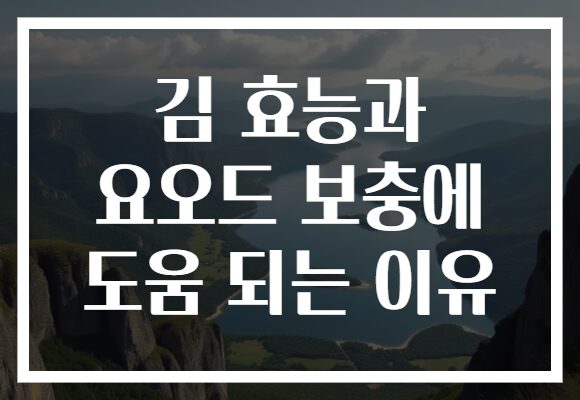 김 효능과 요오드 보충에 도움 되는 이유