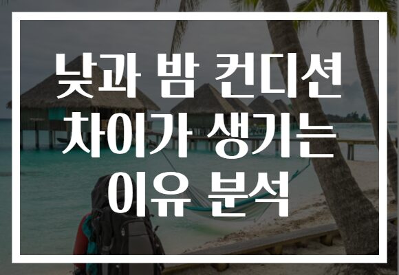 낮과 밤 컨디션 차이가 생기는 이유 분석