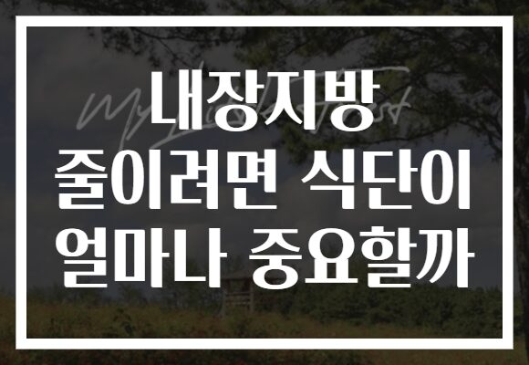 내장지방 줄이려면 식단이 얼마나 중요할까