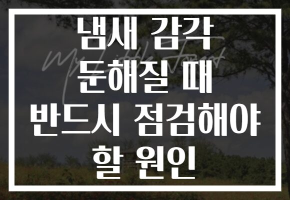 냄새 감각 둔해질 때 반드시 점검해야 할 원인