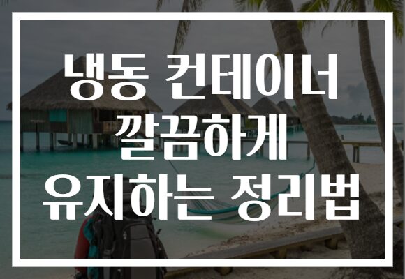 냉동 컨테이너 깔끔하게 유지하는 정리법