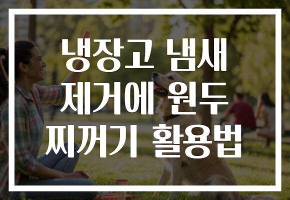 냉장고 냄새 제거에 원두 찌꺼기 활용법