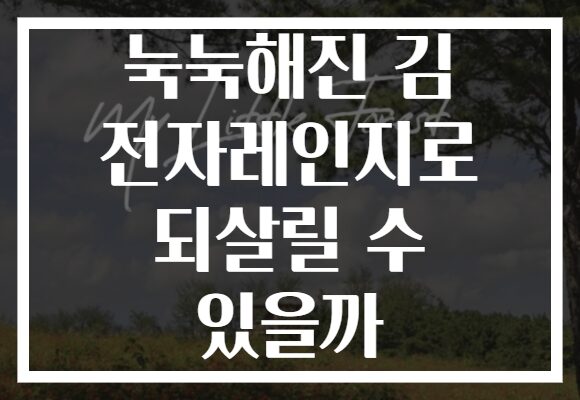 눅눅해진 김 전자레인지로 되살릴 수 있을까