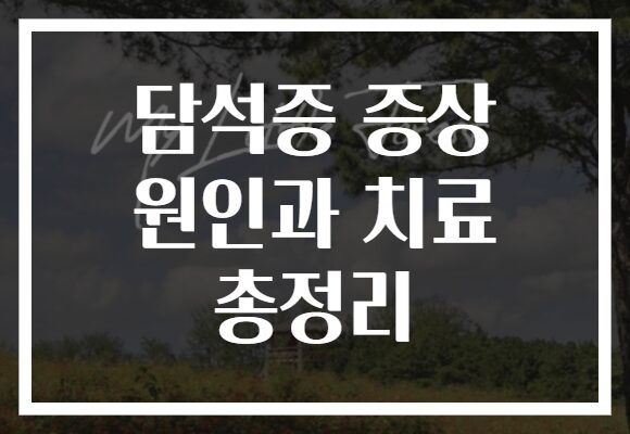 담석증 증상 원인과 치료 총정리