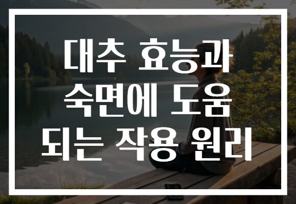 대추 효능과 숙면에 도움 되는 작용 원리