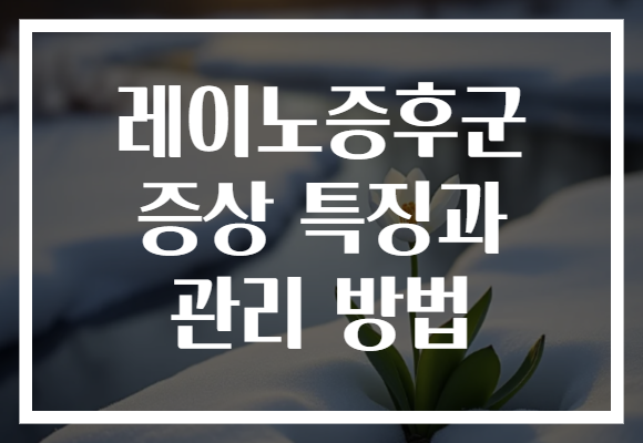 레이노증후군 증상 특징과 관리 방법
