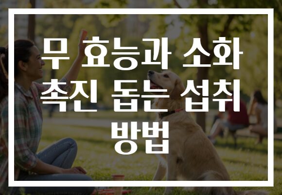 무 효능과 소화 촉진 돕는 섭취 방법
