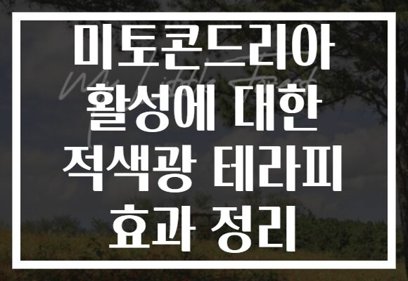 미토콘드리아 활성에 대한 적색광 테라피 효과 정리