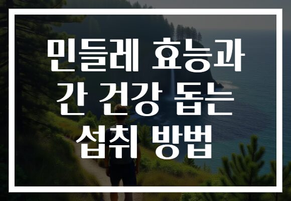 민들레 효능과 간 건강 돕는 섭취 방법