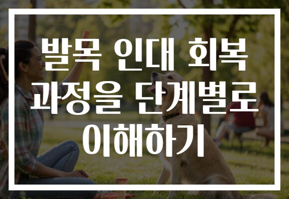 발목 인대 회복 과정을 단계별로 이해하기