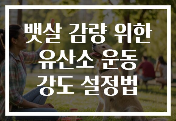 뱃살 감량 위한 유산소 운동 강도 설정법