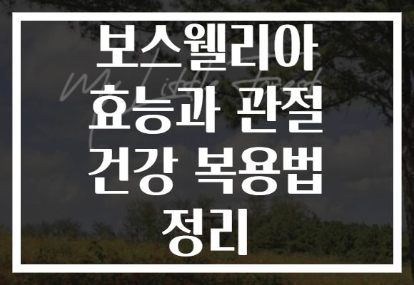 보스웰리아 효능과 관절 건강 복용법 정리