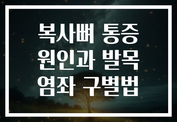 복사뼈 통증 원인과 발목 염좌 구별법