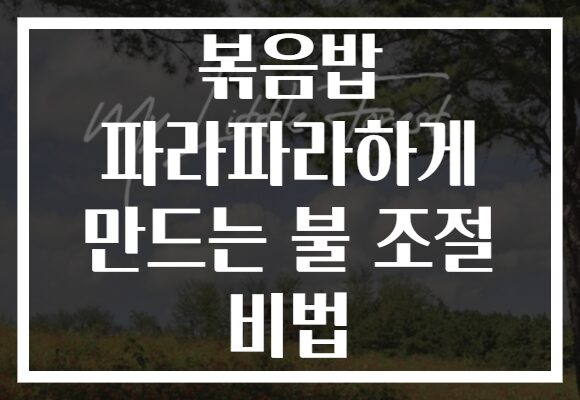 볶음밥 파라파라하게 만드는 불 조절 비법