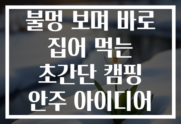불멍 보며 바로 집어 먹는 초간단 캠핑 안주 아이디어