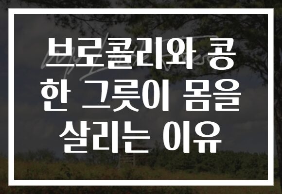 브로콜리와 콩 한 그릇이 몸을 살리는 이유