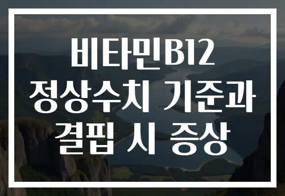 비타민B12 정상수치 기준과 결핍 시 증상