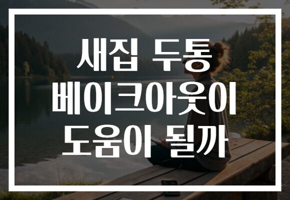 새집 두통 베이크아웃이 도움이 될까