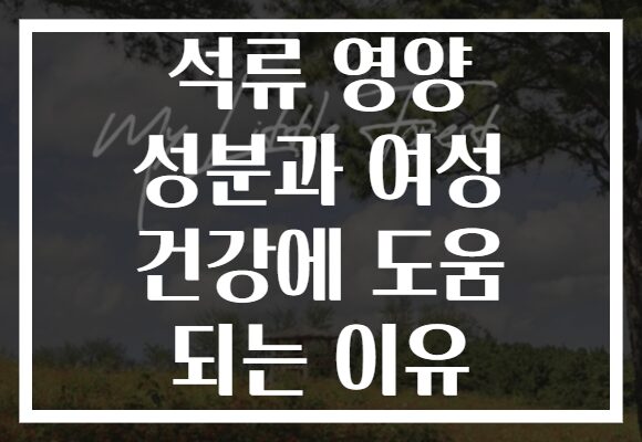 석류 영양 성분과 여성 건강에 도움 되는 이유