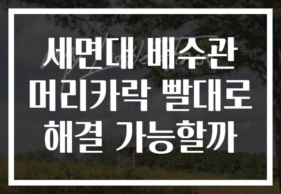 세면대 배수관 머리카락 빨대로 해결 가능할까