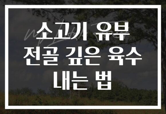소고기 유부 전골 깊은 육수 내는 법
