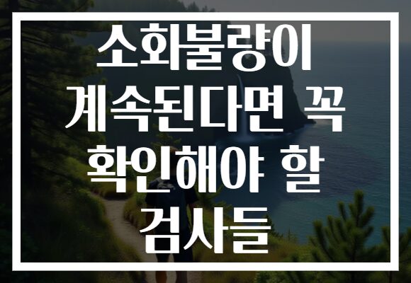 소화불량이 계속된다면 꼭 확인해야 할 검사들