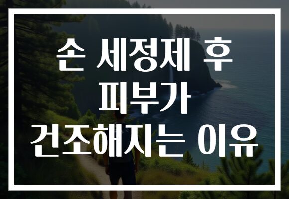 손 세정제 후 피부가 건조해지는 이유