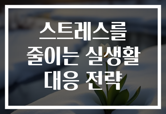 스트레스를 줄이는 실생활 대응 전략