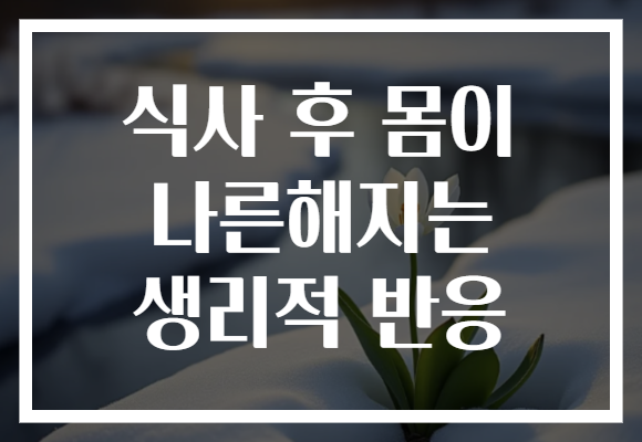 식사 후 몸이 나른해지는 생리적 반응