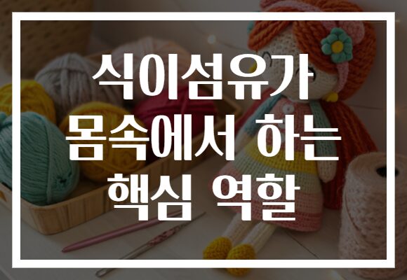 식이섬유가 몸속에서 하는 핵심 역할