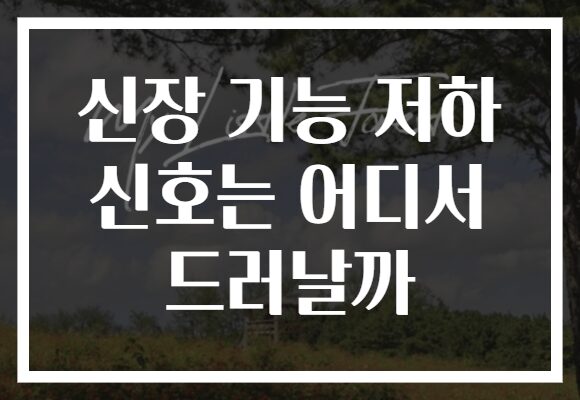 신장 기능 저하 신호는 어디서 드러날까
