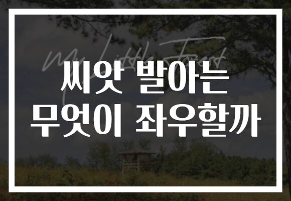 씨앗 발아는 무엇이 좌우할까