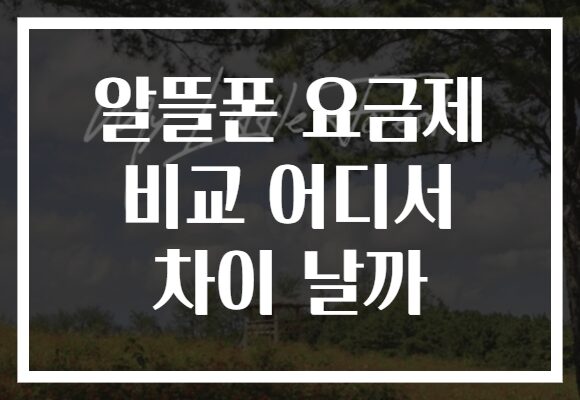 알뜰폰 요금제 비교 어디서 차이 날까